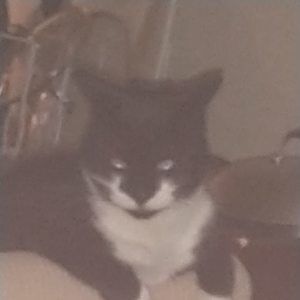 Meet your Posher, Sophie